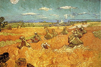 Wheat Stacks with Reaper